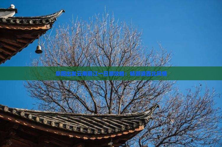 阜阳出发云南丽江一日游攻略：畅游滇西北风情
