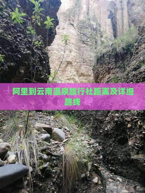 阿里到云南温泉旅行社距离及详细路线
