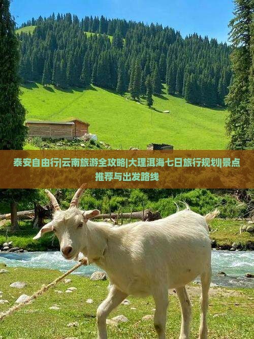 泰安自由行|云南旅游全攻略|大理洱海七日旅行规划|景点推荐与出发路线