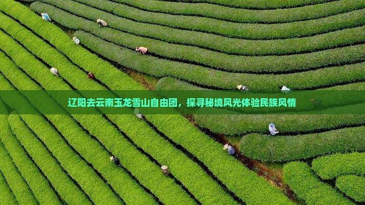 辽阳去云南玉龙雪山自由团，探寻秘境风光体验民族风情