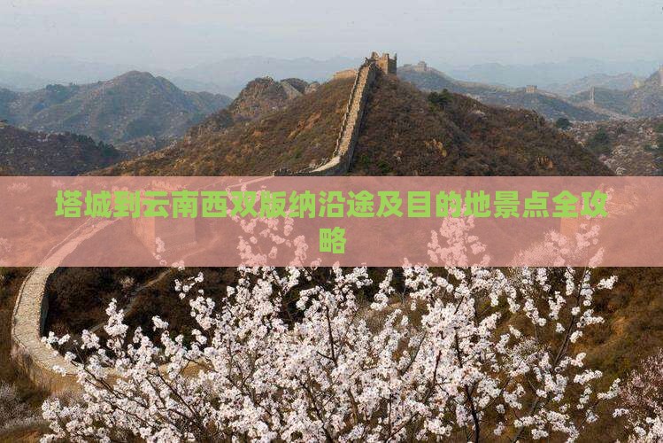 塔城到云南西双版纳沿途及目的地景点全攻略