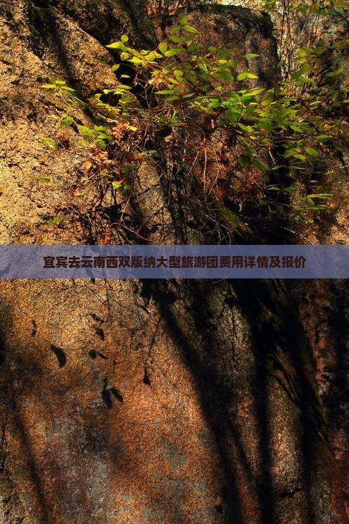 宜宾去云南西双版纳大型旅游团费用详情及报价