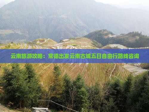 云南旅游攻略：常德出发云南古城五日自由行路线咨询