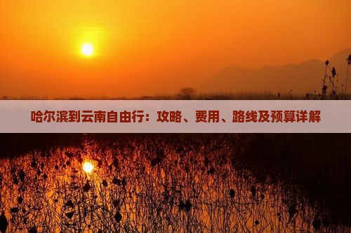 哈尔滨到云南自由行：攻略、费用、路线及预算详解