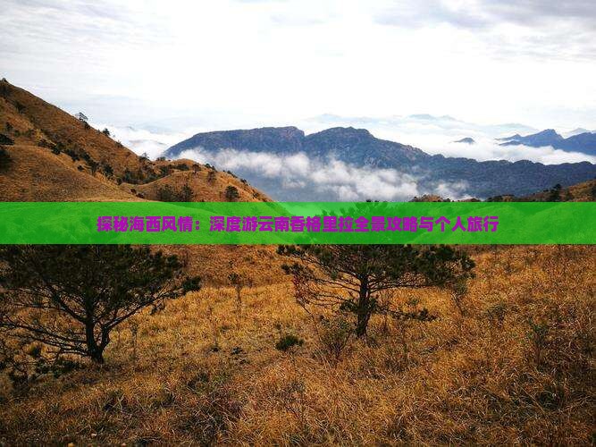 探秘海西风情：深度游云南香格里拉全景攻略与个人旅行