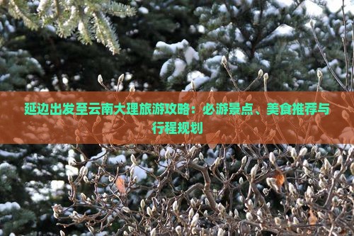 延边出发至云南大理旅游攻略：必游景点、美食推荐与行程规划