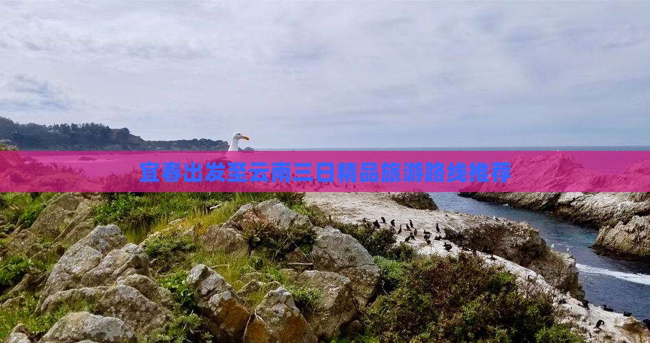 宜春出发至云南三日精品旅游路线推荐