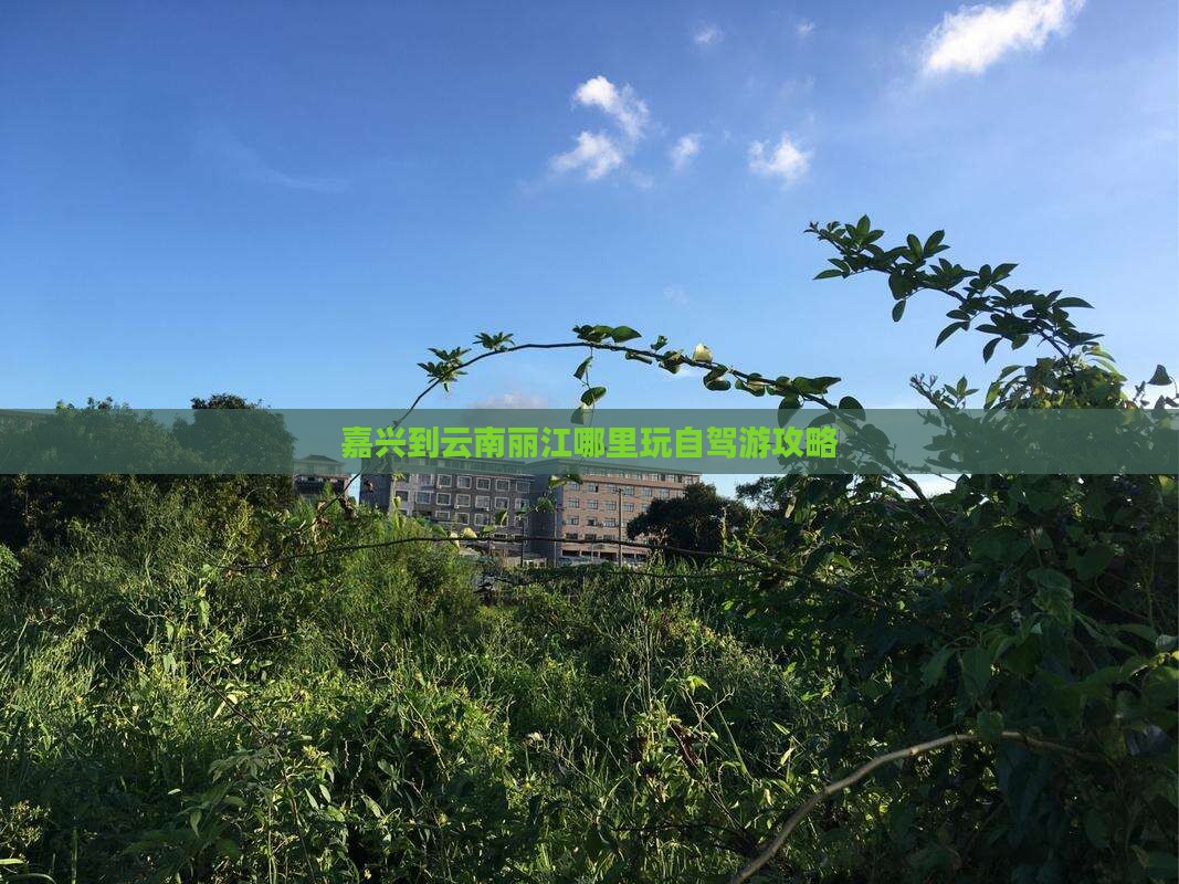嘉兴到云南丽江哪里玩自驾游攻略