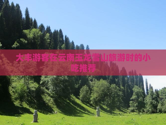 大丰游客在云南玉龙雪山旅游时的小吃推荐