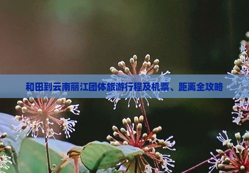和田到云南丽江团体旅游行程及机票、距离全攻略