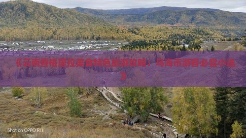 《云南香格里拉美食特色旅游攻略：乌海市游客必尝小选》