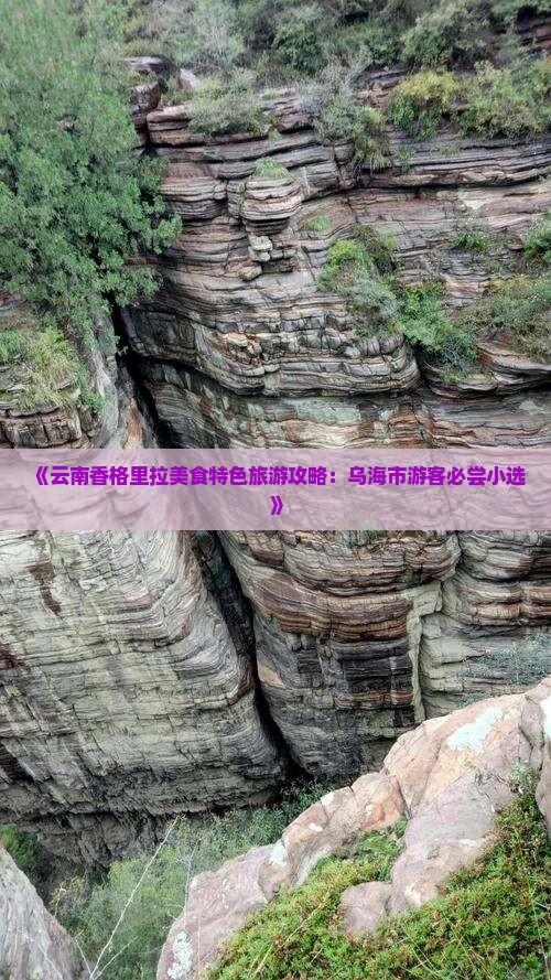 《云南香格里拉美食特色旅游攻略：乌海市游客必尝小选》