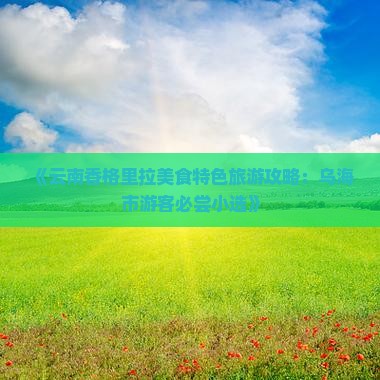 《云南香格里拉美食特色旅游攻略：乌海市游客必尝小选》