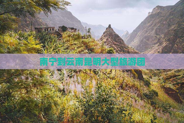 南宁到云南昆明大型旅游团