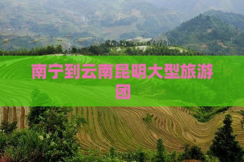 南宁到云南昆明大型旅游团