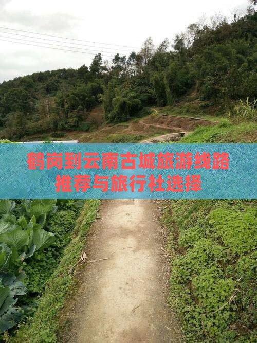 鹤岗到云南古城旅游线路推荐与旅行社选择