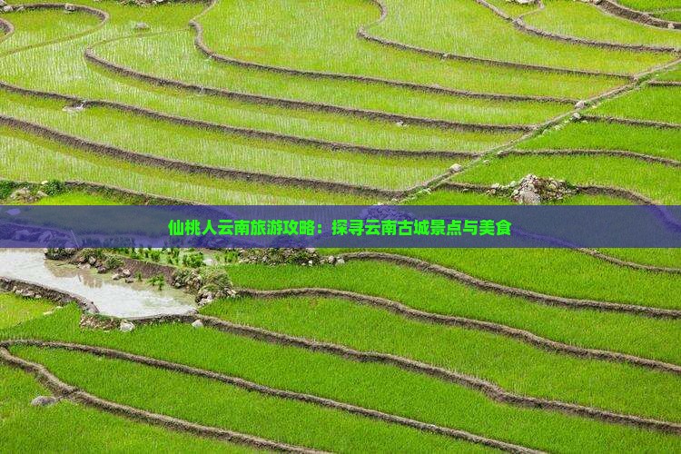仙桃人云南旅游攻略：探寻云南古城景点与美食