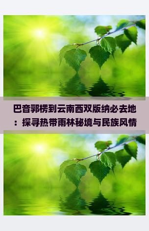 巴音郭楞到云南西双版纳必去地：探寻热带雨林秘境与民族风情之旅
