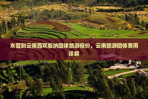 东营到云南西双版纳团体旅游报价，云南旅游团体费用详解