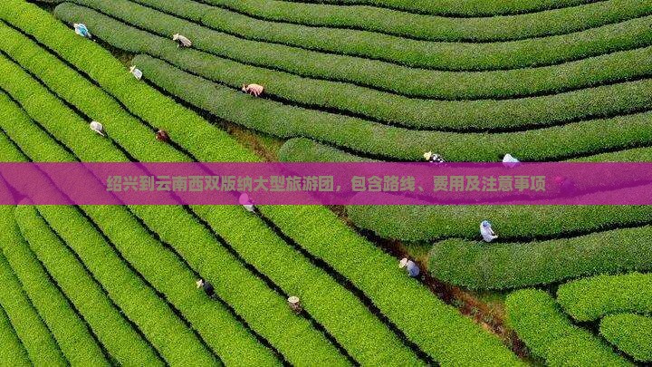 绍兴到云南西双版纳大型旅游团，包含路线、费用及注意事项