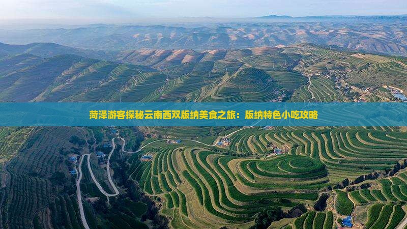 菏泽游客探秘云南西双版纳美食之旅：版纳特色小吃攻略