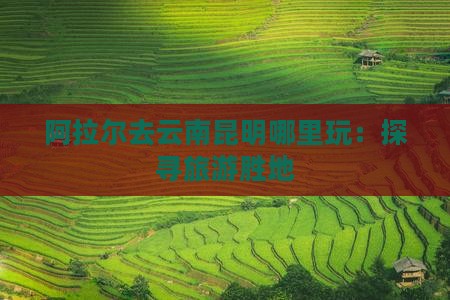 阿拉尔去云南昆明哪里玩：探寻旅游胜地
