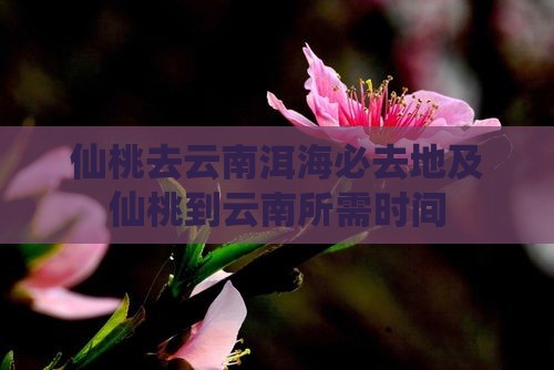 仙桃去云南洱海必去地及仙桃到云南所需时间