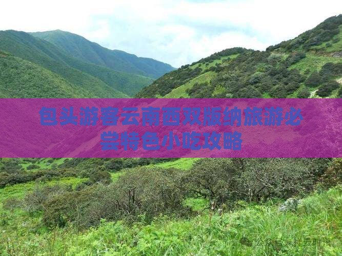 包头游客云南西双版纳旅游必尝特色小吃攻略