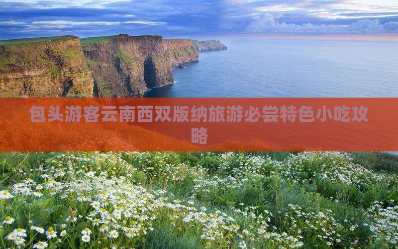 包头游客云南西双版纳旅游必尝特色小吃攻略