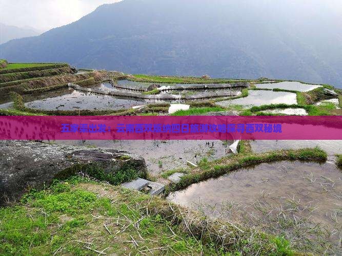 五家渠出发：云南西双版纳四日旅游攻略探寻西双秘境