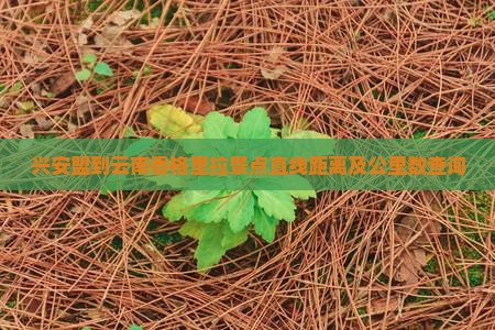 兴安盟到云南香格里拉景点直线距离及公里数查询