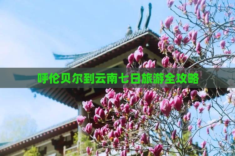呼伦贝尔到云南七日旅游全攻略