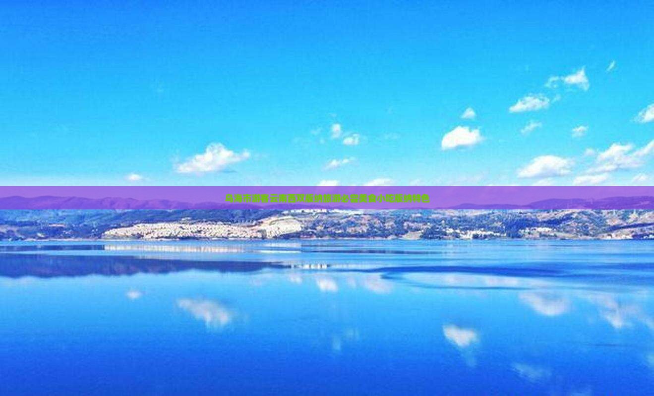 乌海市游客云南西双版纳旅游必尝美食小吃版纳特色
