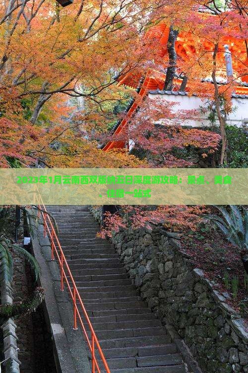 2023年1月云南西双版纳五日深度游攻略：景点、美食、住宿一站式