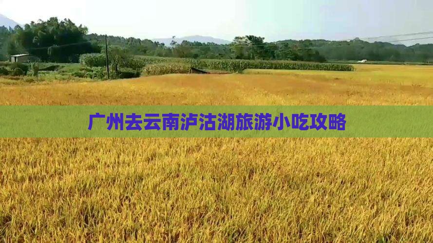 广州去云南泸沽湖旅游小吃攻略