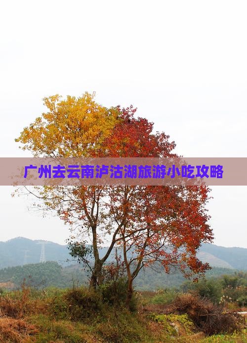 广州去云南泸沽湖旅游小吃攻略