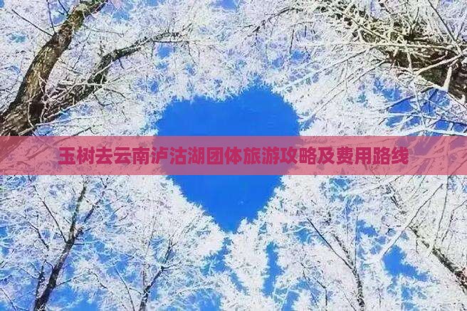 玉树去云南泸沽湖团体旅游攻略及费用路线