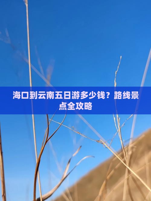 海口到云南五日游多少钱？路线景点全攻略