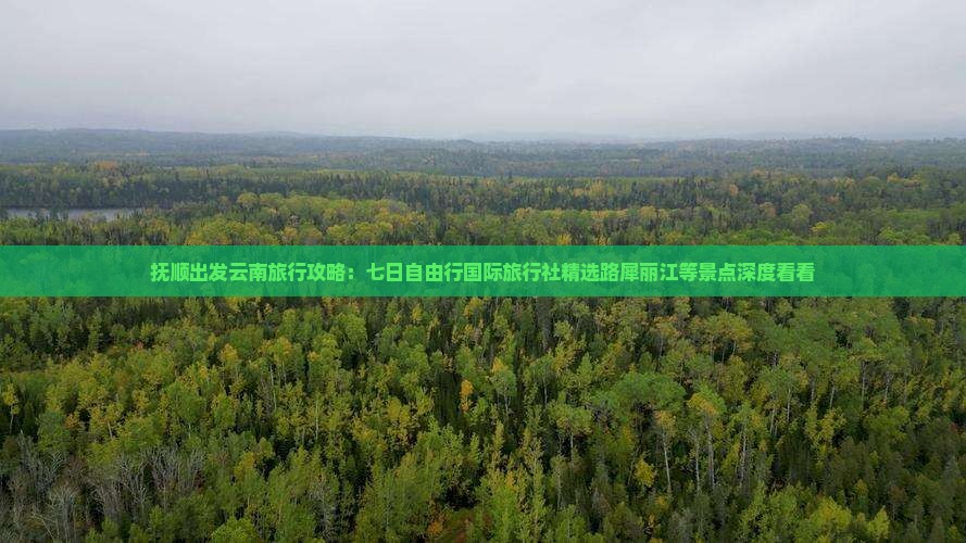 抚顺出发云南旅行攻略：七日自由行国际旅行社精选路犀丽江等景点深度看看