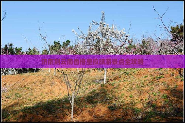 济南到云南香格里拉旅游景点全攻略
