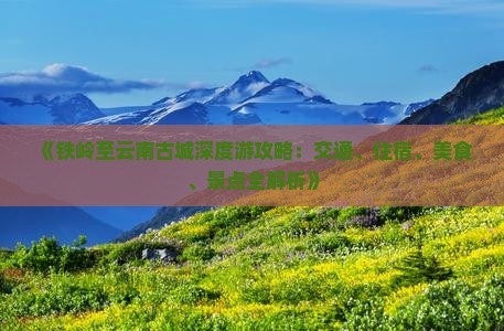 《铁岭至云南古城深度游攻略：交通、住宿、美食、景点全解析》