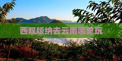 西双版纳去云南哪里玩