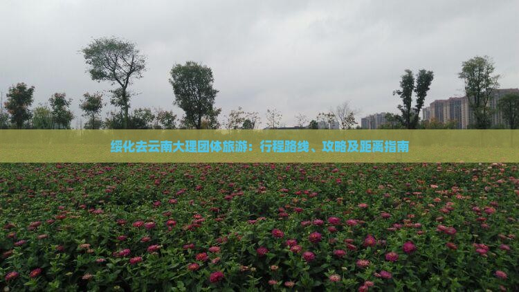 绥化去云南大理团体旅游：行程路线、攻略及距离指南