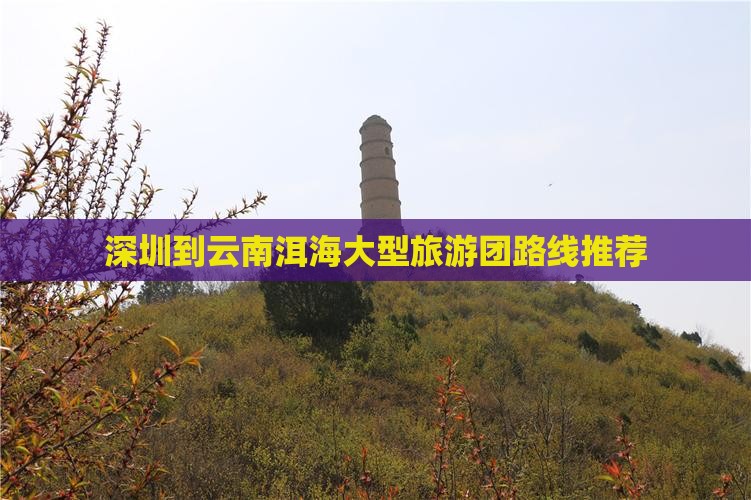 深圳到云南洱海大型旅游团路线推荐