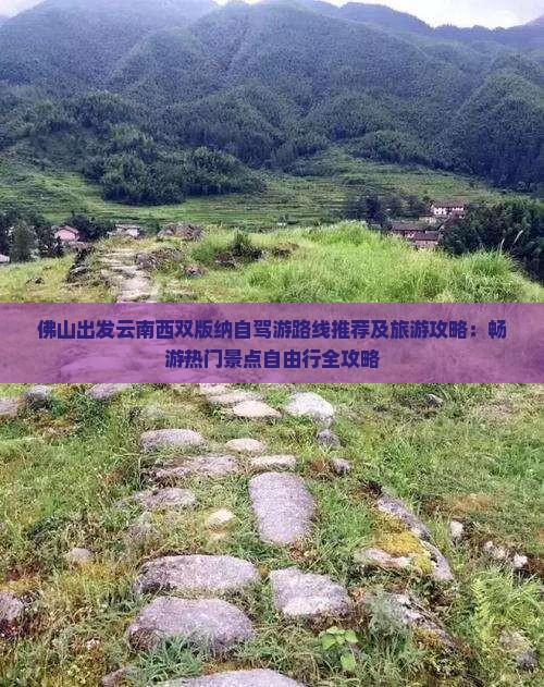 佛山出发云南西双版纳自驾游路线推荐及旅游攻略：畅游热门景点自由行全攻略