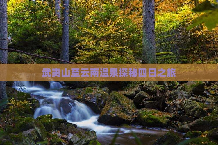 武夷山至云南温泉探秘四日之旅