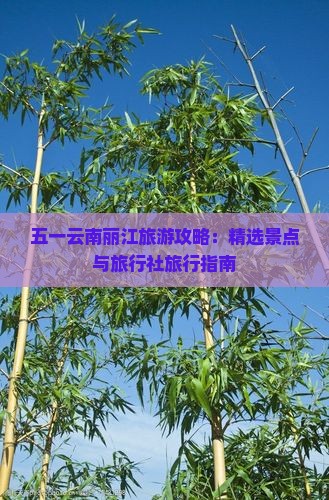 五一云南丽江旅游攻略：精选景点与旅行社旅行指南
