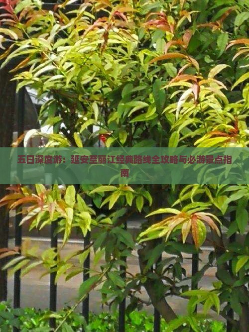 五日深度游：延安至丽江经典路线全攻略与必游景点指南