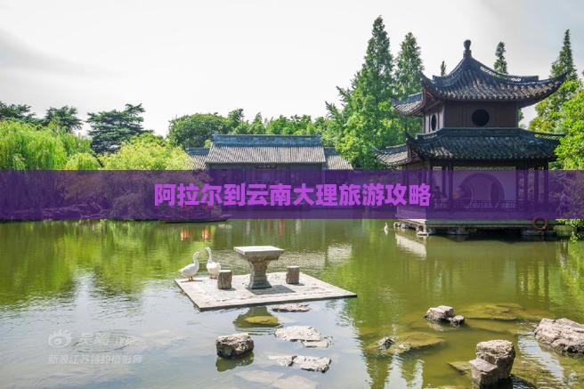阿拉尔到云南大理旅游攻略