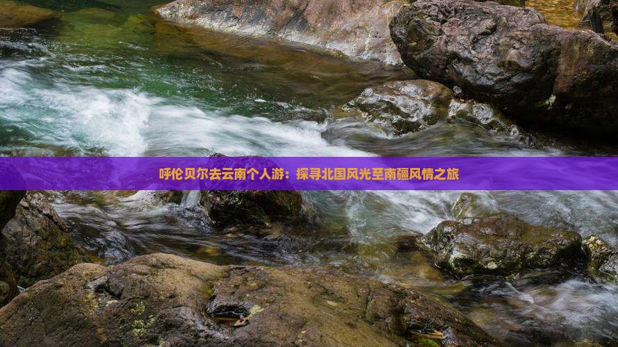 呼伦贝尔去云南个人游：探寻北国风光至南疆风情之旅